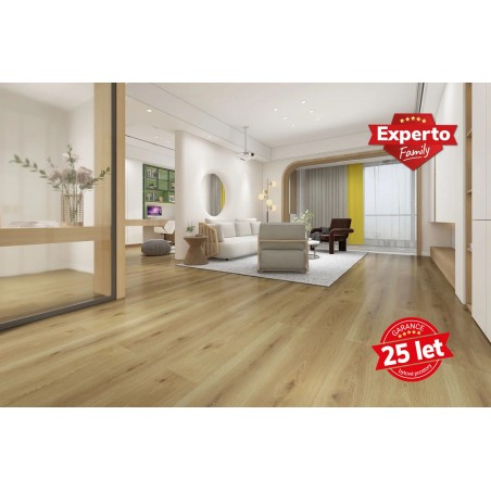 Experto - LVT 55 - Dub Calle